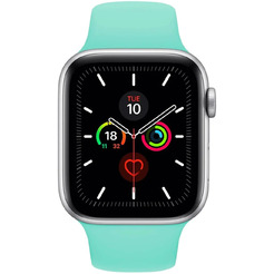 Ремешок Bingo для APPLE Watch Мята