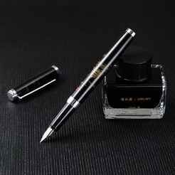 Набор перьевая ручка с флаконом чернил DELI S168 (стальное перо, черный цвет чернил)