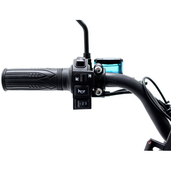 Электровелосипед AVM E-Alfa Fat (черный)