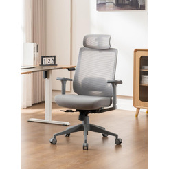 Кресло компьютерное EVOLUTION HybridFlex (серый)