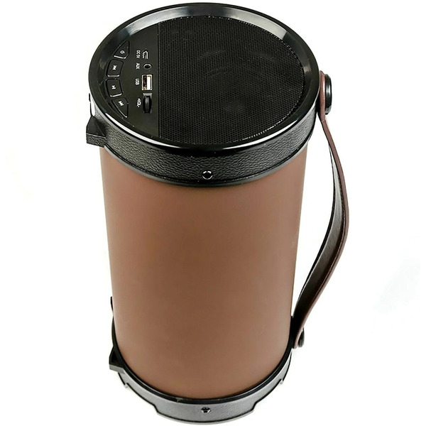 Акустическая система Dialog AP-1000