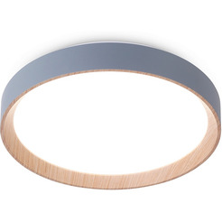 Светильник Ambrella FZ1320