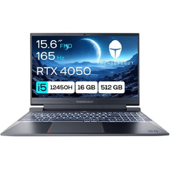 Игровой ноутбук Thunderobot 911 X Wild Hunter G2D (JT009A00KRU)