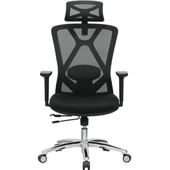 Кресло компьютерное Evolution EXO F1 (черный)