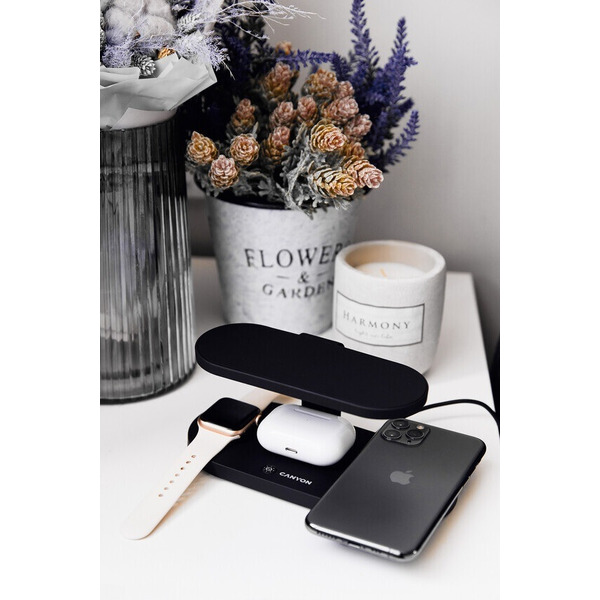 Беспроводное зарядное устройство Canyon CNS-WCS501B