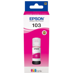 Контейнер с чернилами EPSON C13T00S34A