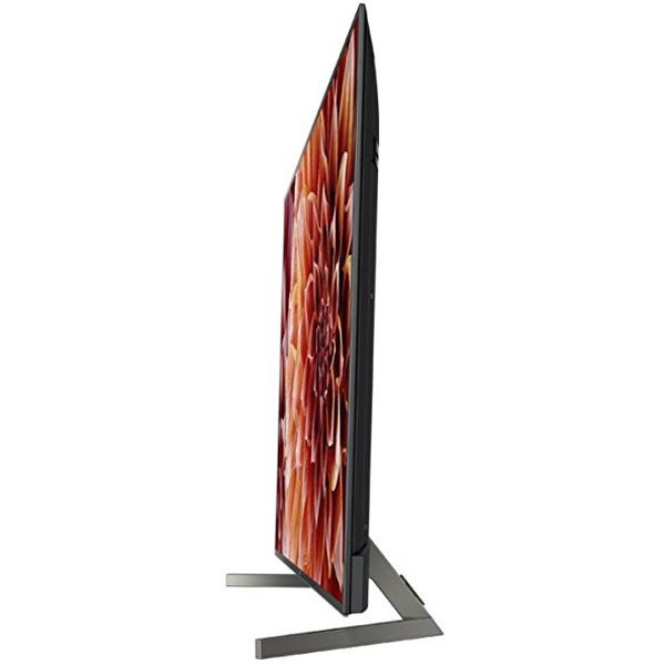 Телевизор SONY BRAVIA KD-49XF9005