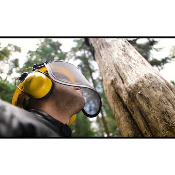 Бензиновая цепная пила CHAMPION A254-18