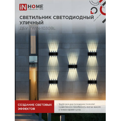 Светильник уличный настенный двусторонний IN HOME ДБУ TWIN-1030BL (4690612051970)