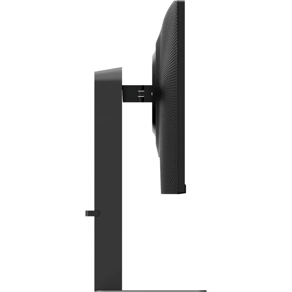 Игровой монитор Thunderobot Black Warrior 25F300L