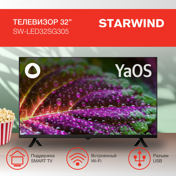 Телевизор StarWind SW-LED32SG305