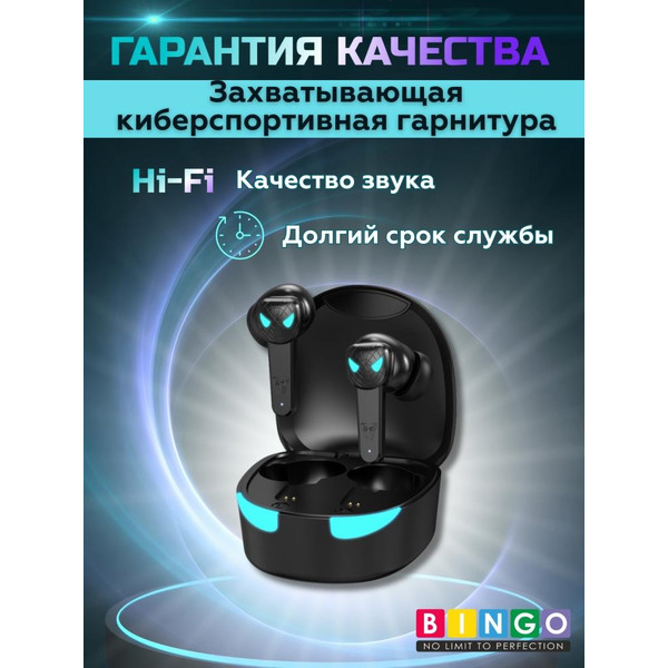 Наушники Bingo TG10 (черный)