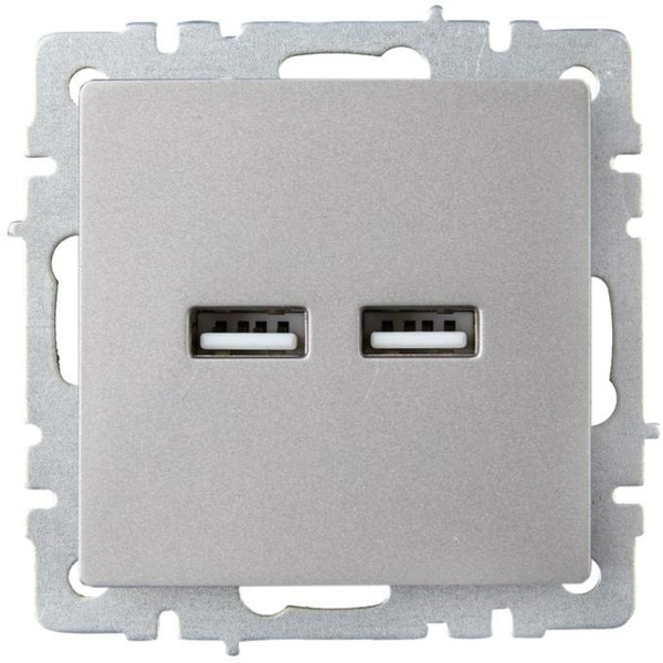 Розетка IEK Brite BR-U21-D31-K46