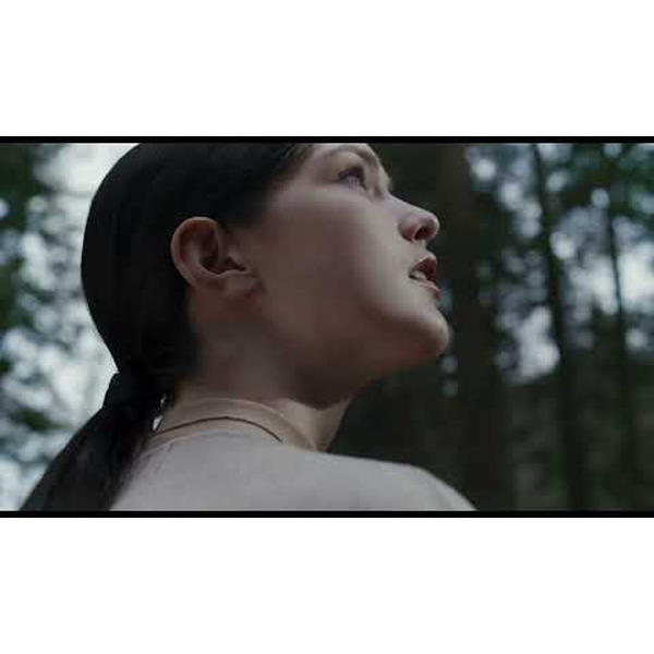 Смартфон Huawei Pura 70 Ultra 16GB/1TB (HBP-LX9) Black