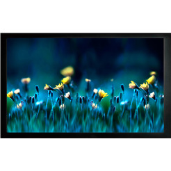 Проекционный экран CACTUS FrameExpert 113x200 CS-PSFRE-200X113
