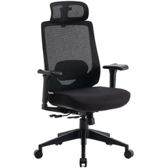 Кресло компьютерное EVOLUTION HybridFlex (черный)