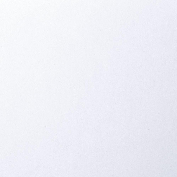 Папка для рисования BRAUBERG 125230