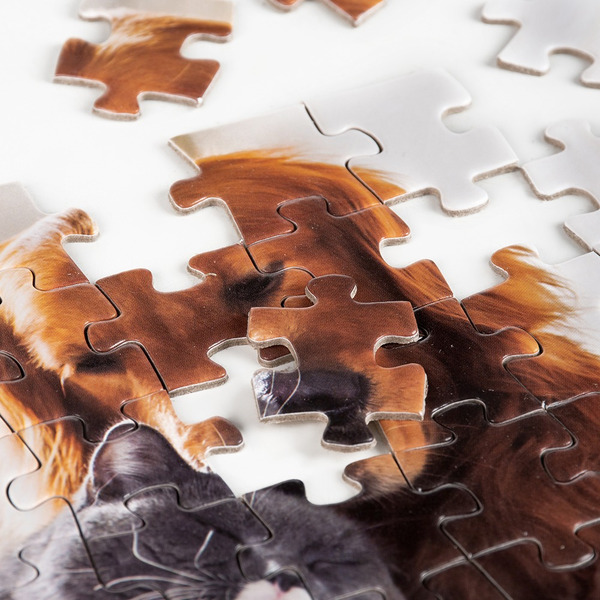 Пазлы DREAM MAKERS Зверята RI5409C