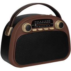 Радиоприемник Ritmix RPR-040 (шоколадный)