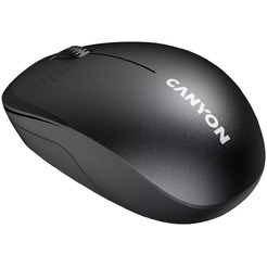 Мышь Canyon MW-04 (CNS-CMSW04B) черный