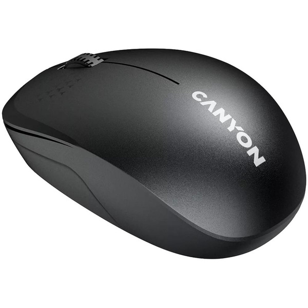 Мышь Canyon MW-04 (CNS-CMSW04B) черный