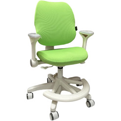 Стул регулируемый Ergosmart Antey GREY/чехол T14 GREEN