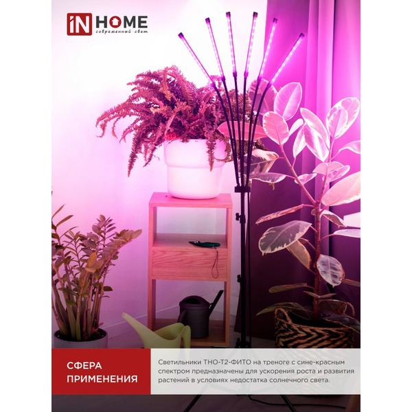 Светильник напольный на треноге светодиодный IN HOME ТНО-Т2-ФИТО (4690612053578)