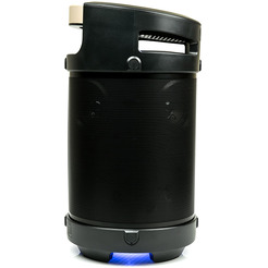 Акустическая колонка Dialog Progressive AP-1030