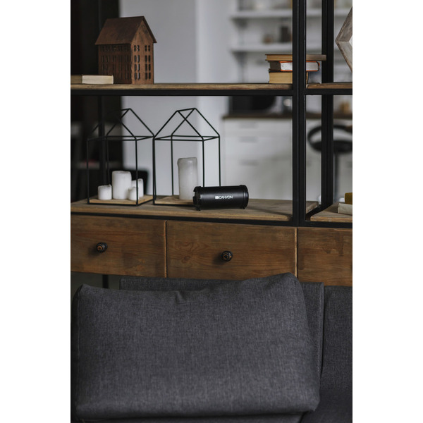 Портативная колонка Canyon CNE-CBTSP5