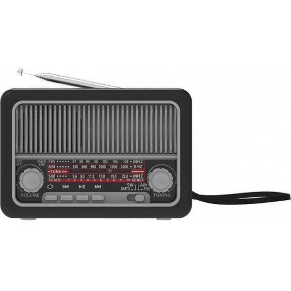 Радиоприемник Ritmix RPR-035 Silver