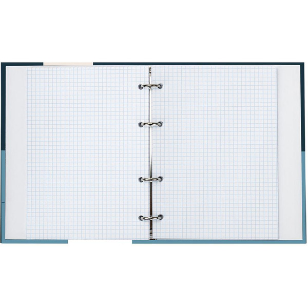 Тетрадь BRAUBERG 404084 на кольцах А5 175х215мм, 120л, твердый картон, клетка