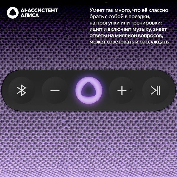 Портативная Умная колонка Яндекс.Стрит YNDX-00030VIO (фиолетовый)