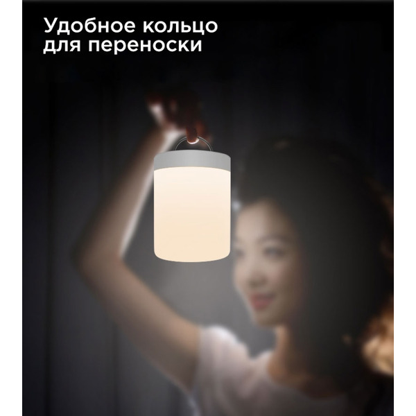 Ночник Evolution 1001