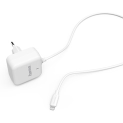 Сетевое зарядное устройство Hama H-183318