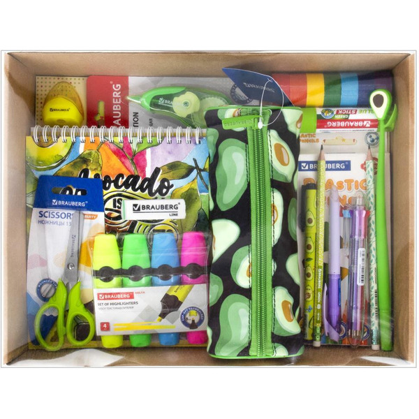 Набор канцелярии подарочный BRAUBERG AVOCADO 880951 (43 предмета)