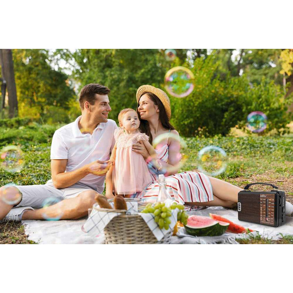 Радиоприемник Miru SR-1021