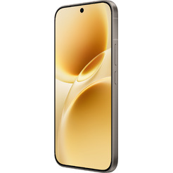 Смартфон vivo V70 V2538 12GB/256GB (серый)