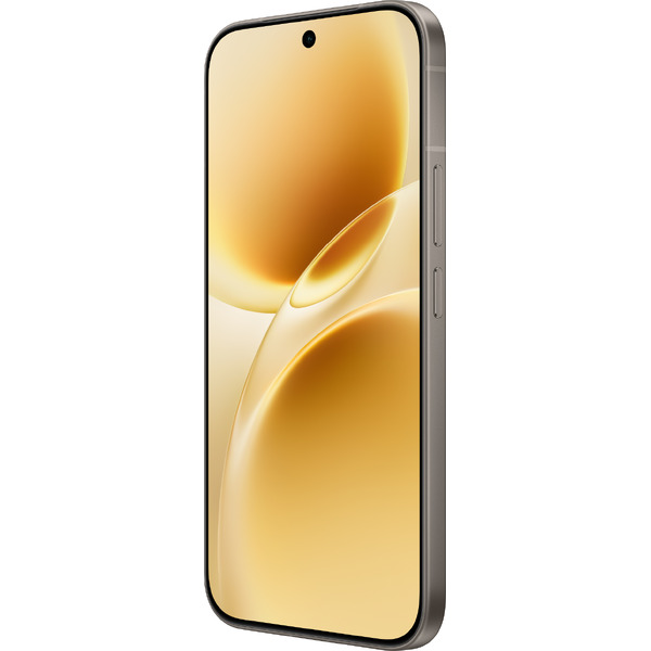 Смартфон vivo V70 V2538 12GB/256GB (серый)