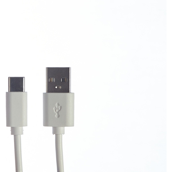 Зарядное устройство Bingo B1-U2 (с кабелем USB Type-C)