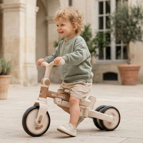 Детский велосипед Bubago Malanka BG 211-2 (коричневый)