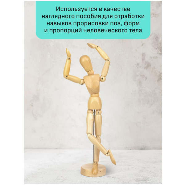Манекен человека художественный Гамма Студия 180520218 (мужской)
