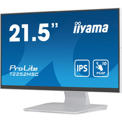 Монитор Iiyama ProLite T2252MSC-W2