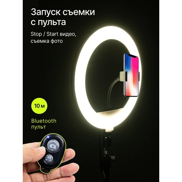 Кольцевая лампа Raylab RL-0112 Kit