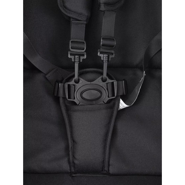 Детская универсальная коляска Rant Basic Pulsar Gold 2 в 1 RA160 (черный)