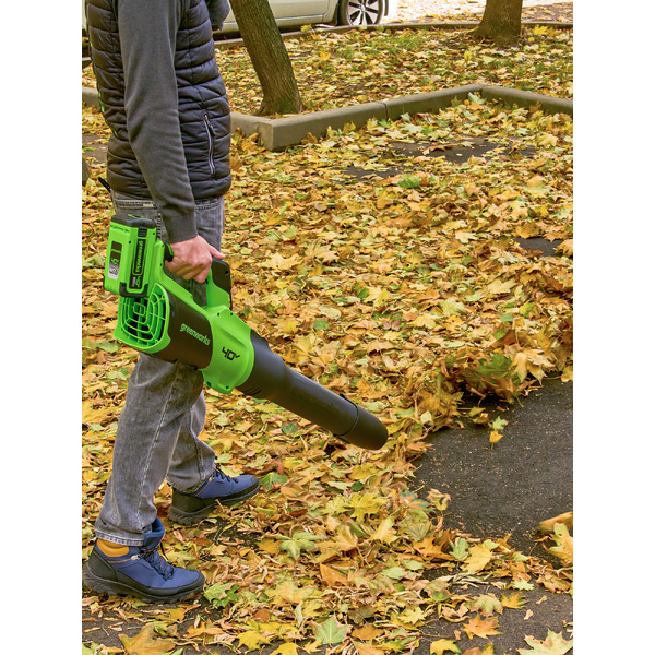 Воздуходувка Greenworks GD40BG3 2408207UB