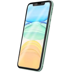 Защитное стекло Bingo Full Silkprint для APPLE iPhone XR/11 Черное