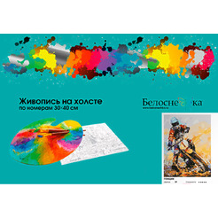Картина по номерам Белоснежка Гонщик 989-AS