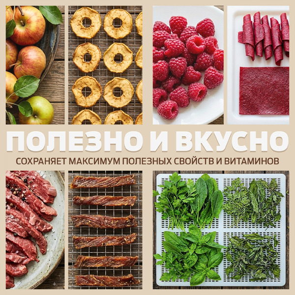 Сушилка для овощей и фруктов Holt HT-FD-003