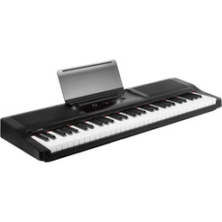 Синтезатор THE ONE Light Black