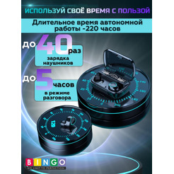 Наушники Bingo M10 (черный)